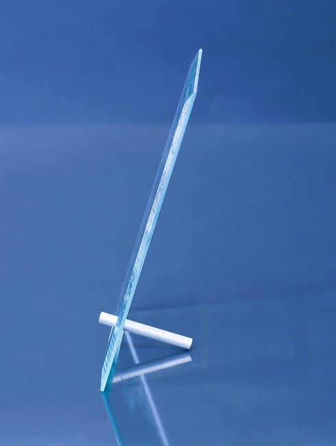 Apprentice Award Trophy Eclipse Awards