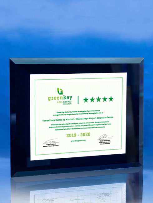 Integrity Display Frame | Wall-Mounted Deal Toy Wall Plaque Eclipse Awards