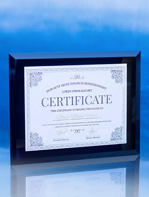 Integrity Glass Wall Frames Wall Plaque Eclipse Awards Large: 8.5