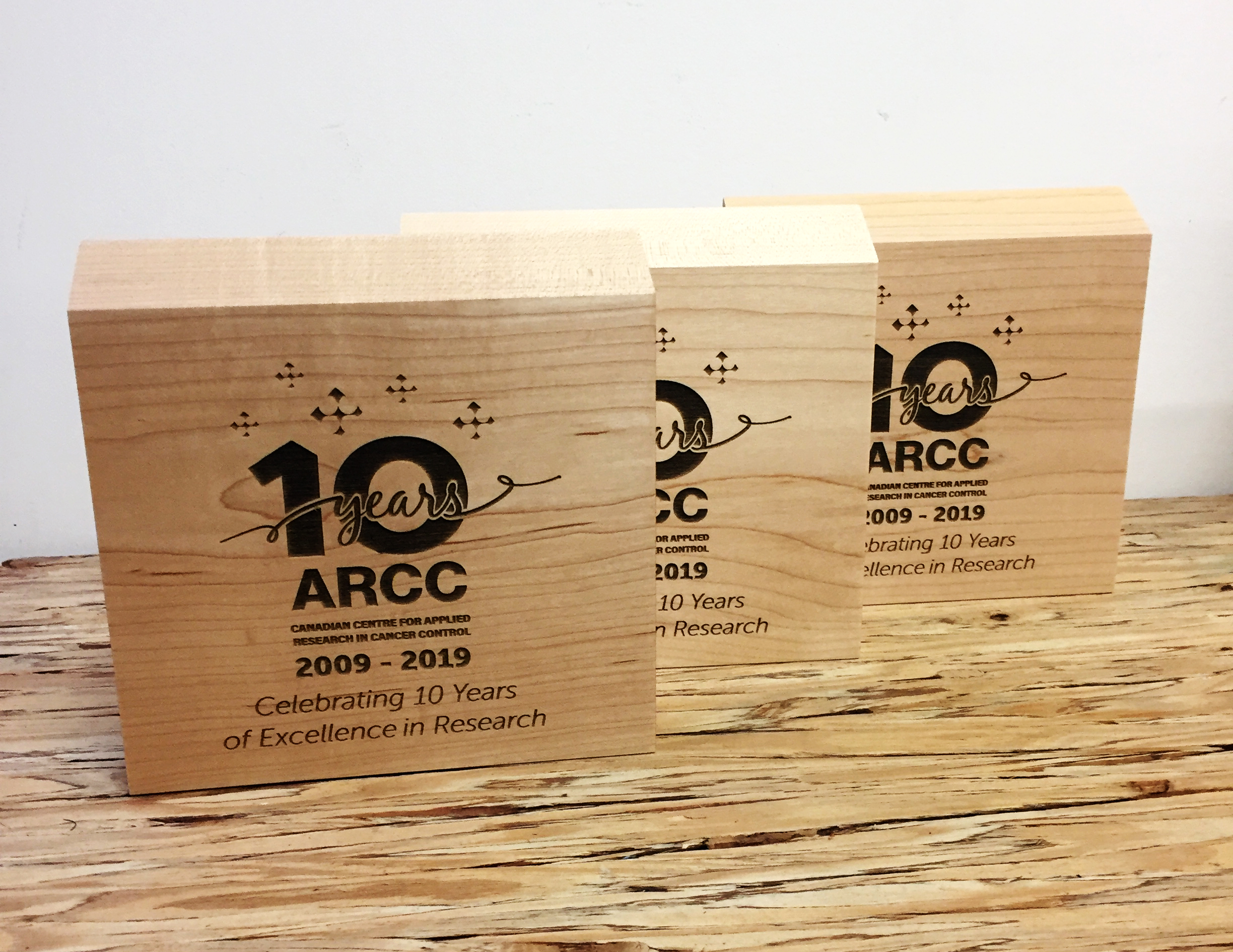 Arcc - Neighborhood Award-4