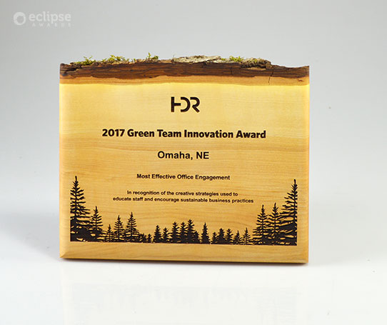 green-innovation-eco-friendly-wood-wall-plaque_corporate-recognition-award_canada-nature-plaque