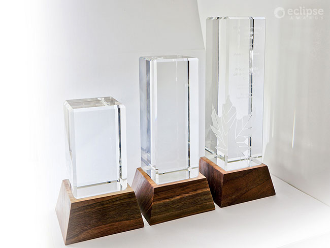 modern-engraved-salvaged-wood-and-glass-environment-award-trophy-bc-3