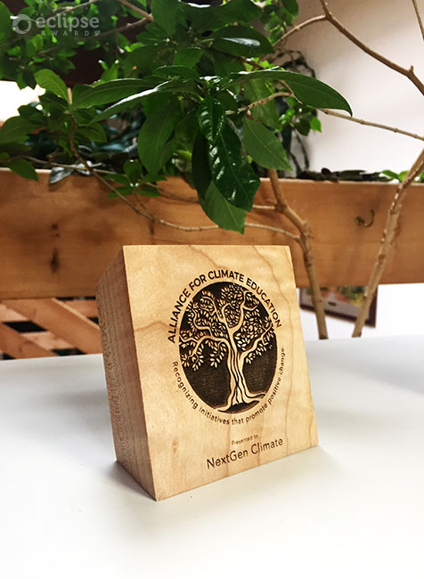 sustainable-customized-laser-engraved-eco-friendly-green-maple-charity-recognition-award-trophy-engraving-bc