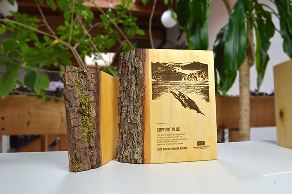 unique-sustainable-laser-engraved-salvaged-wood-nonprofit-recognition-award_BritishColumbia