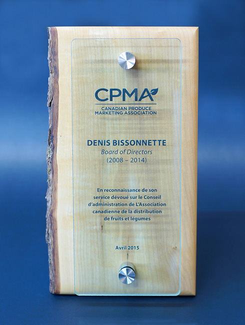 unique-sustainable-personalized-glass-and-wood-wall-plaque_corporate-recognition-trophy_canada-3