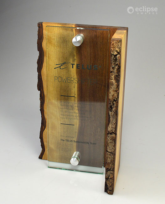 unique-sustainable-salvaged-wood-and-glass-custom-trophy-corporate-trophy-canada-2