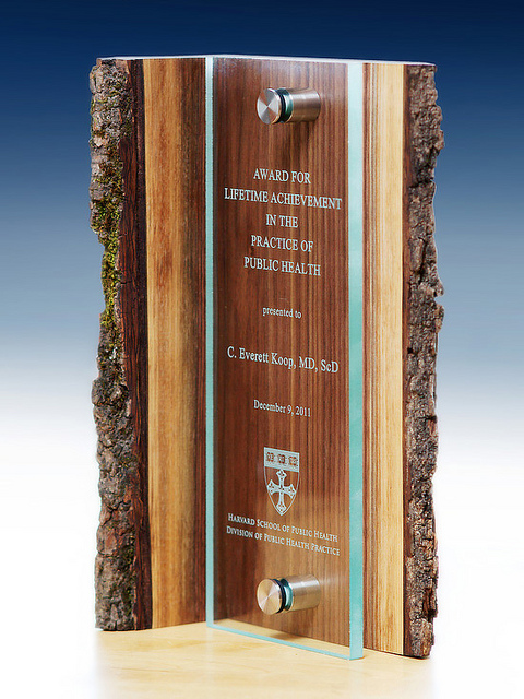 unique-sustainable-salvaged-wood-and-glass-custom-trophy-environment-trophy-usa