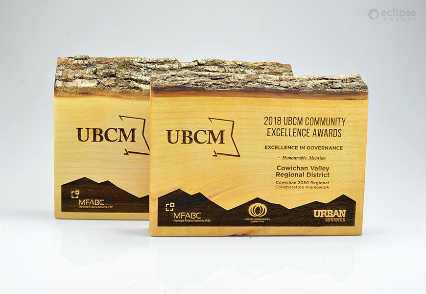 unique-sustainablility-salvaged-wood-personalized-trophy_nonprofit-recogniton-award_vancouver-trophy-shop-2