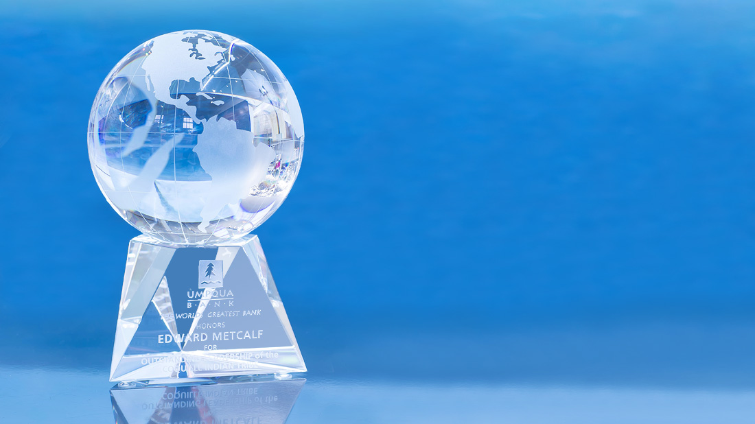 BUSINESS AWARD CRYSTAL GLOBE GLOBAL SALES ACHIEVEMENT TROPHY ENGRAVED FREE 