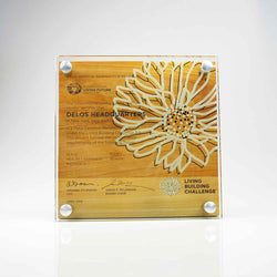 Premium wood and glass wall plaques featuring custom-etched messages and vibrant brand graphics for corporate and sustainability recognition
