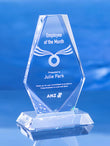 Buena Vista Award Trophy Eclipse Awards OS