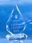 Crystal Royal Diamond Award Trophy Eclipse Awards Large
