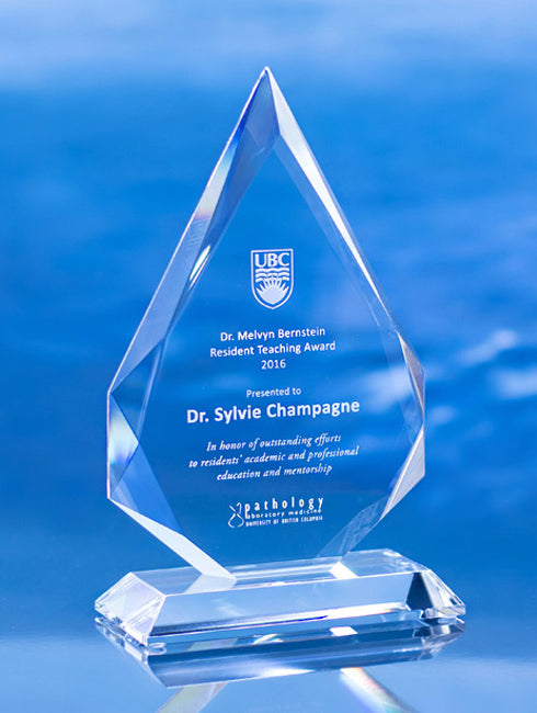 Crystal Royal Diamond Award Trophy Eclipse Awards Large