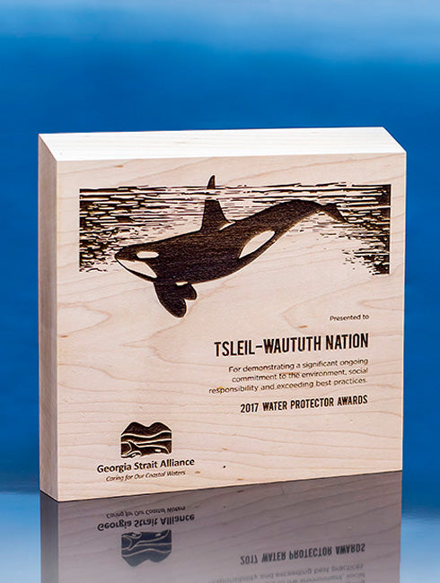Neighborhood Wood Trophy Trophy Eclipse Awards Small