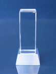 Nova Crystal Award Trophy Eclipse Awards   
