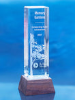 Chocolate Walnut Roots Award Trophy Eclipse Awards Large