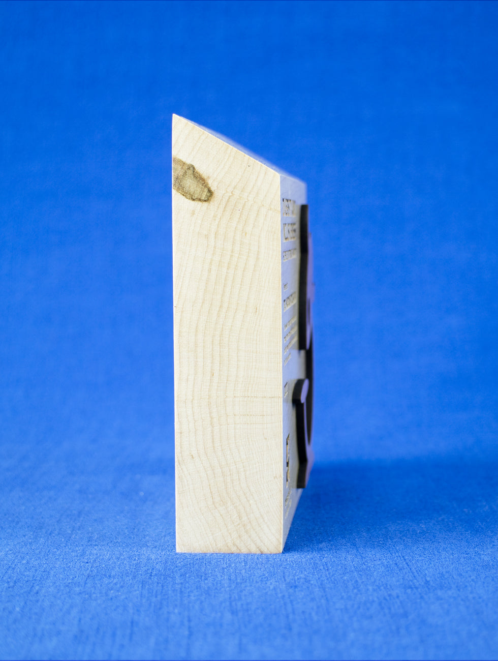 Sunwood Award with Custom Shape Wood Accent Trophy Eclipse Awards