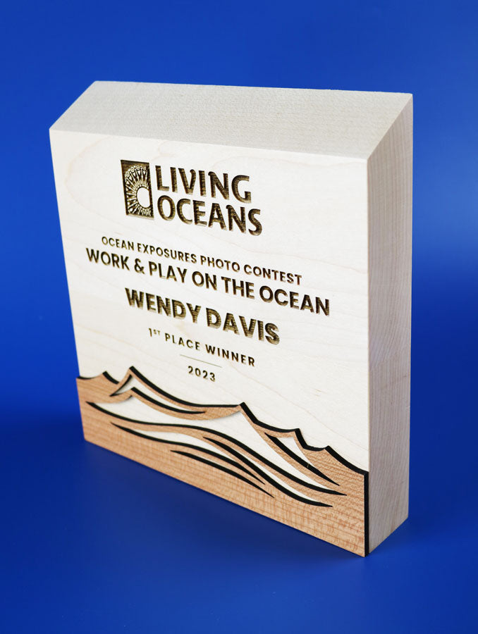 Sunwood Waves Award Trophy Eclipse Awards   