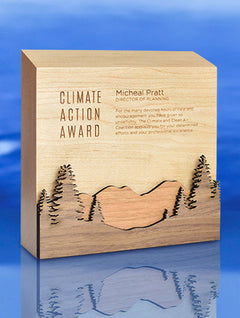 Sunwood Mountain Award