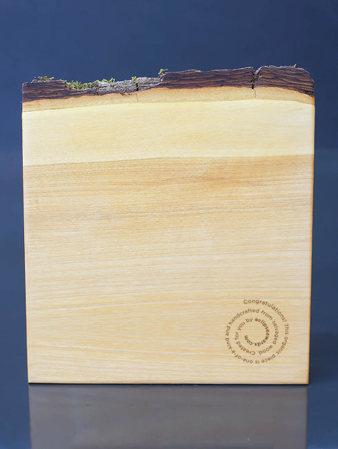 Vancouver Awards | Sustainable Wooden Trophies Trophy Eclipse Awards