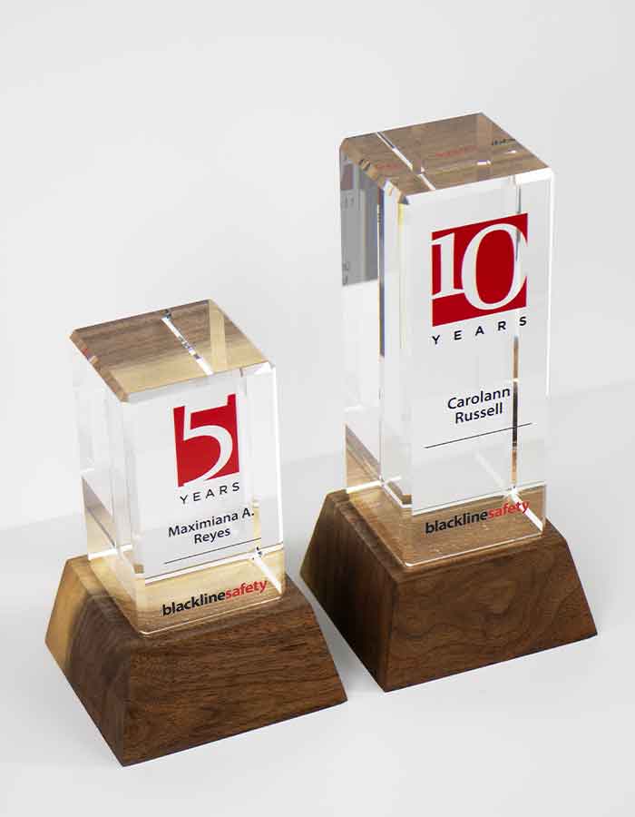 Chocolate Walnut Roots Award Trophy Eclipse Awards Small