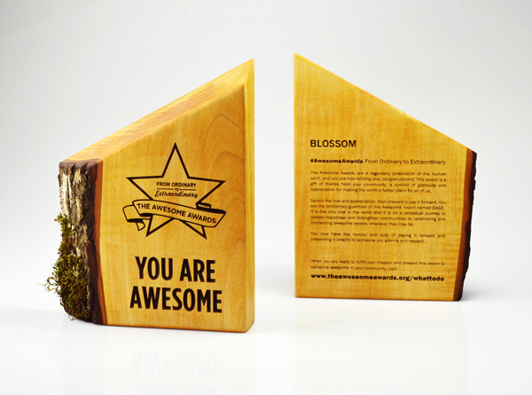 awesomne-awards-button