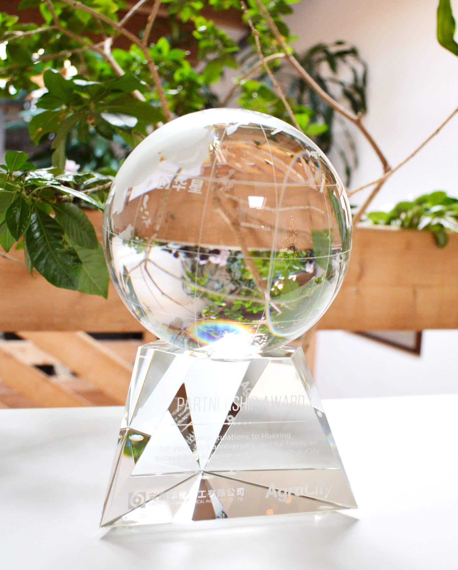 classic-personalized-sandblasted-glass-trophy-globe-earth-corporate-trophy-2