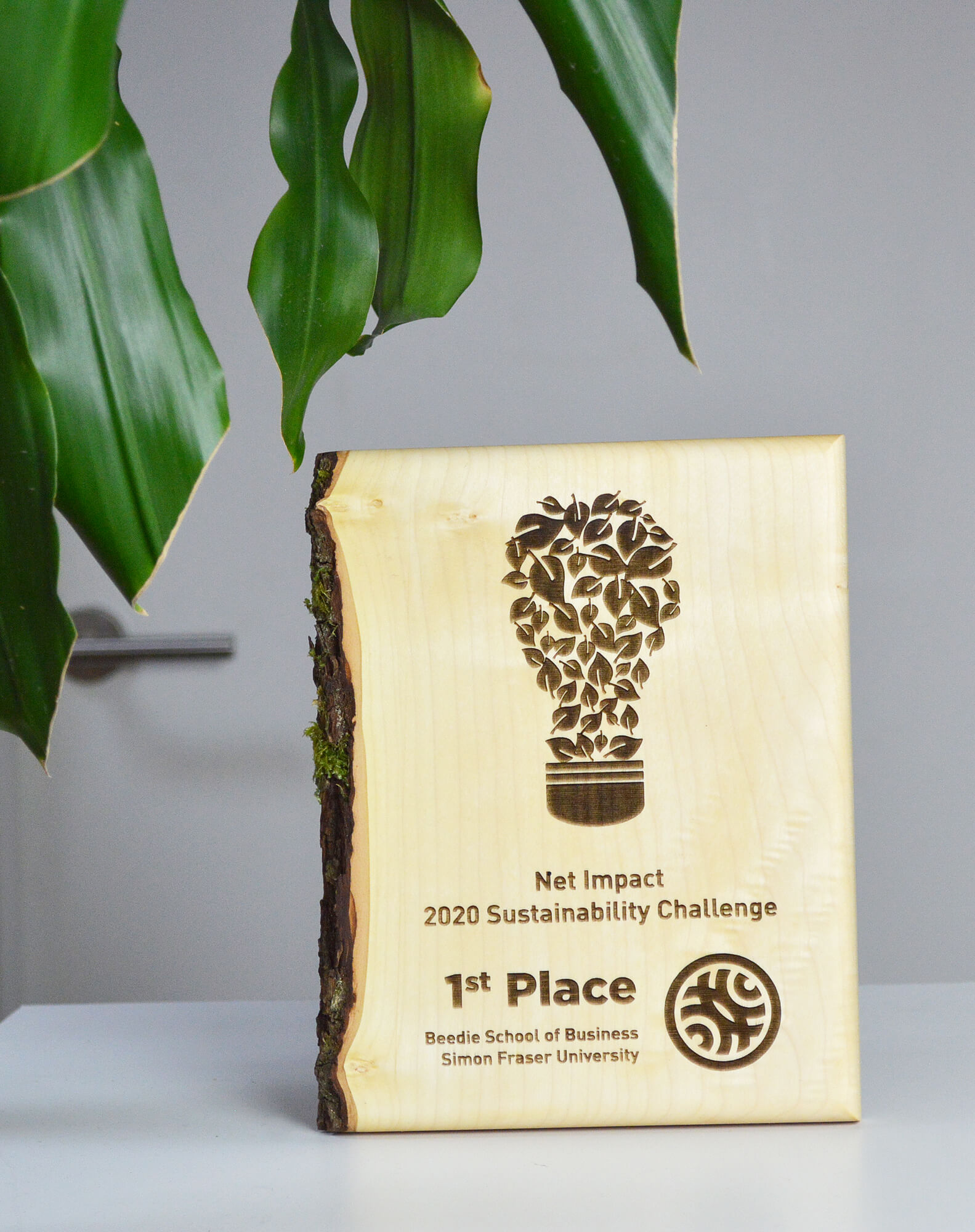 unique-eco-friendly-green-salvaged-wood-wall-plaque_corporate-recogniton-award-canada-7