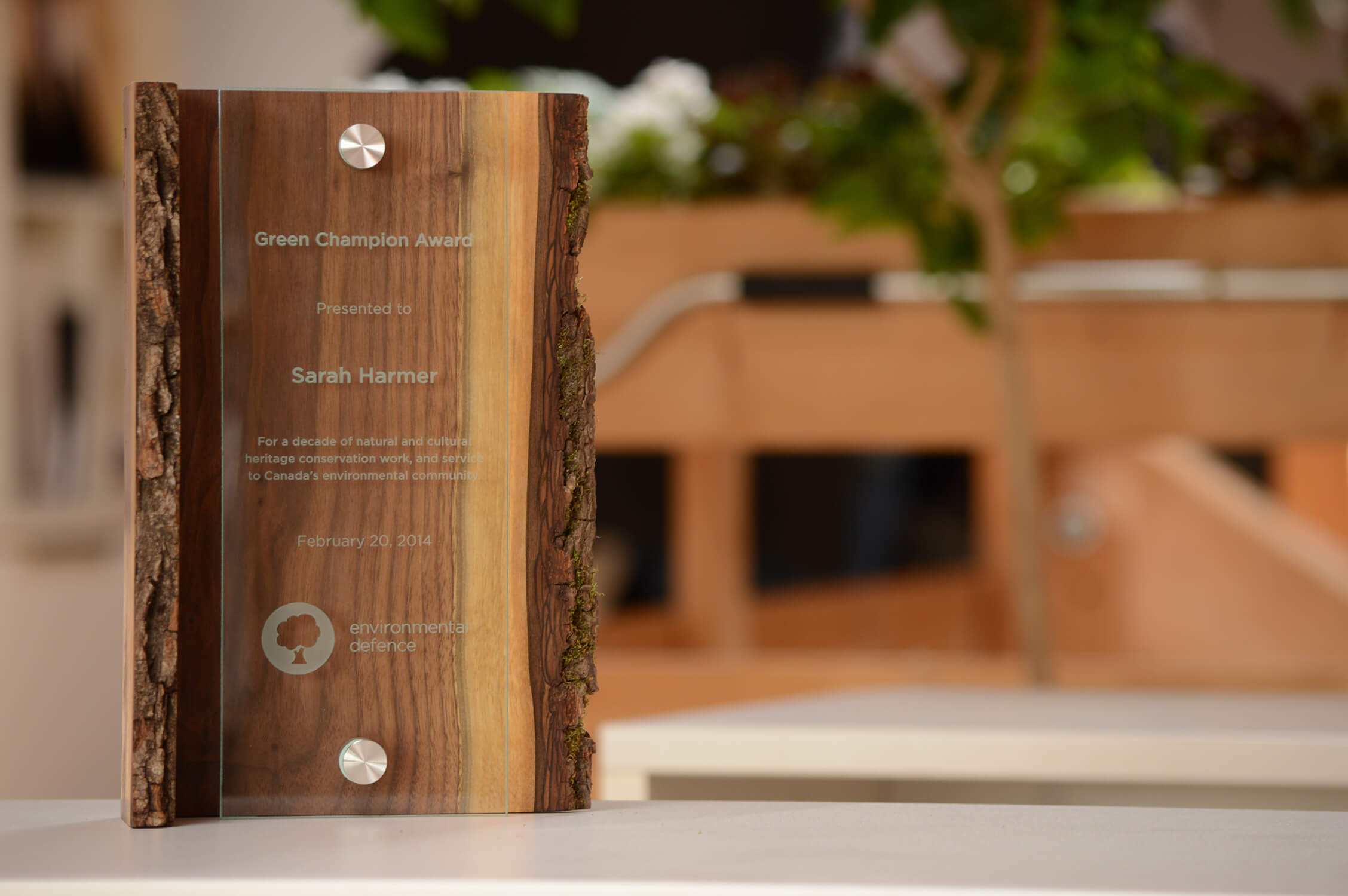 unique-sustainable-salvaged-wood-and-glass-custom-trophy-environment-trophy-canada