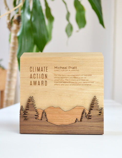 eco-friendly-award-wood-1