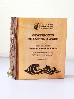 inspiration-gallery-awards-plaques-trophies-eco-friendly-awards-plaques-27