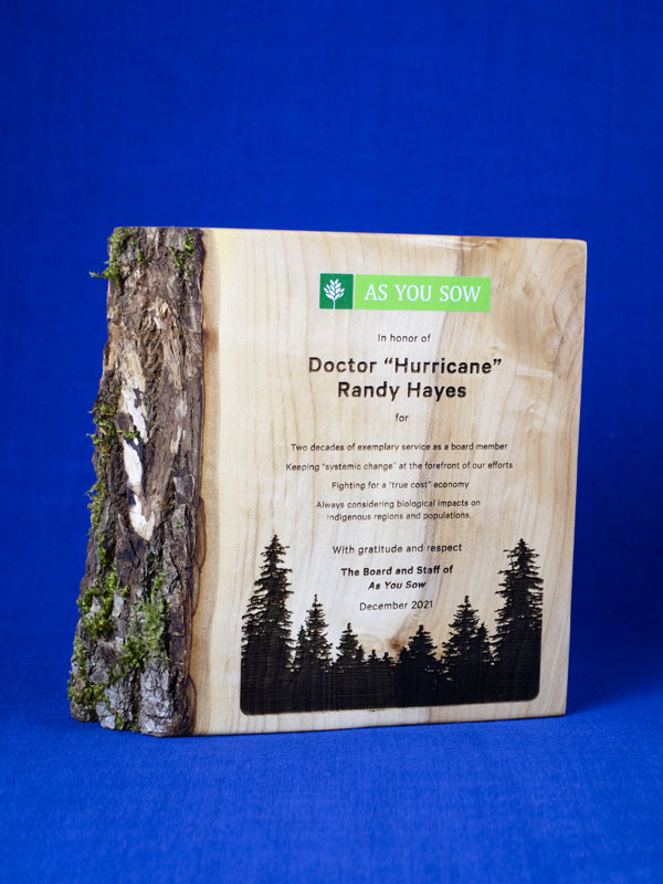 inspiration-gallery-awards-plaques-trophies-eco-friendly-awards-plaques-37