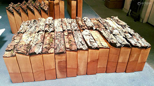unique-eco-friendly-salvaged-wood-custom-awards-plaques_canada-trophy-shop