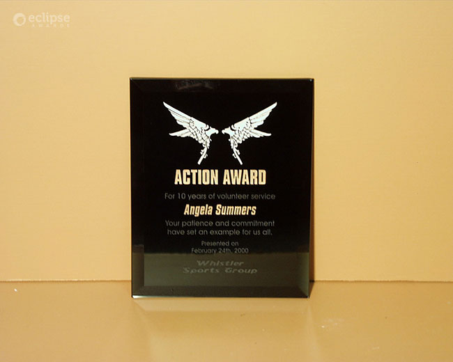 volunteer-awardcustom-engraved-plaque_corporate-recognition-trophy_north-america